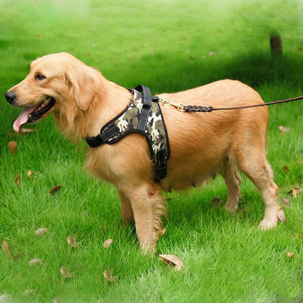 Adjustable Pet Puppy Large Dog Harness for Small Medium Large Dogs Animals Pet Walking Hand Strap Dog Supplies 3 Colors